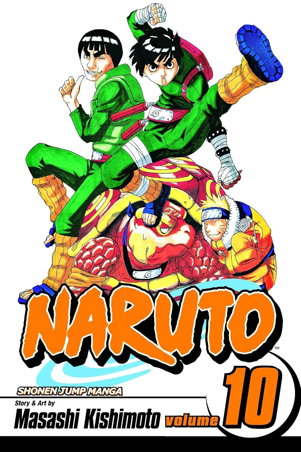 A Splendid Ninja